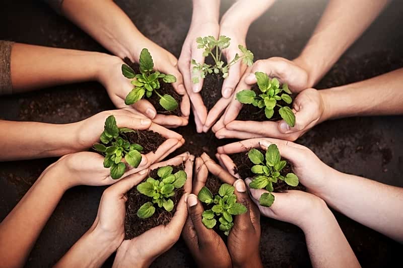 Sosyal Sorumluluk Projeleri